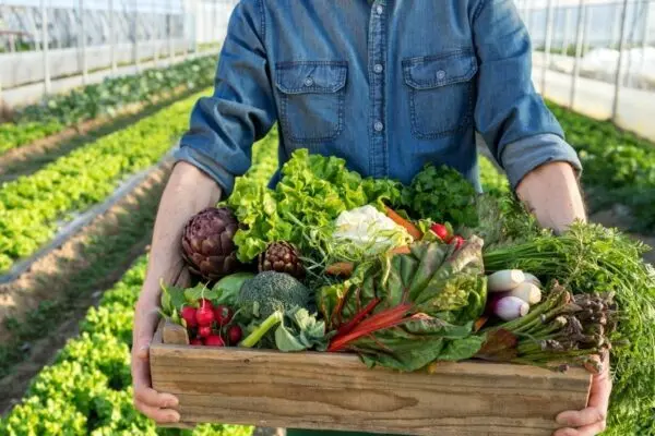 Image sur l'alimentation