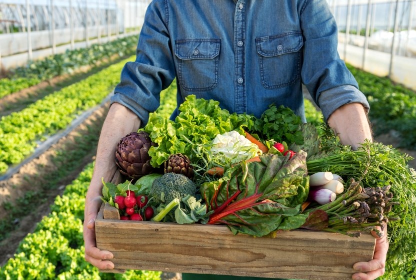 Image sur l'alimentation